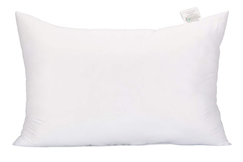 Acanva Fluffy Pillow Insert for Bed Sleeping, Decorative Stuffer Cushion Sham Filler, Queen 20x30 (Pack of 1), White - Image 1